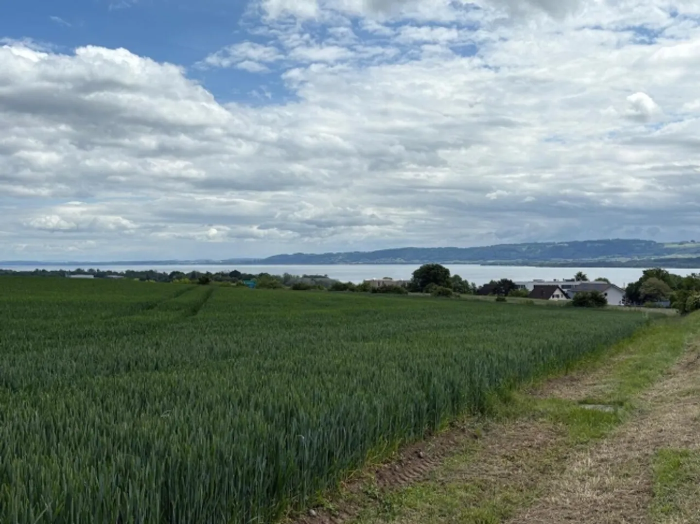 Sehr schöne helle 5,5-Zimmer-Wohnung in Grandson - Foto 19 von 19