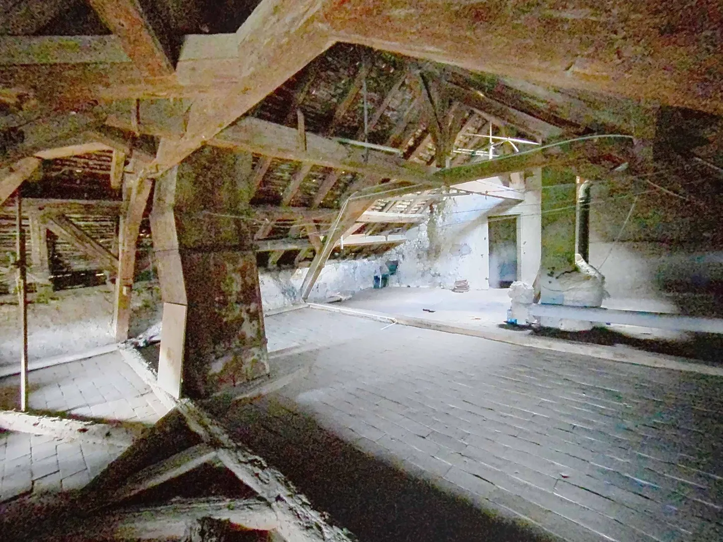 Maison dans le village à rénover, au cœur de Tartegnin - Photo 11 sur 13