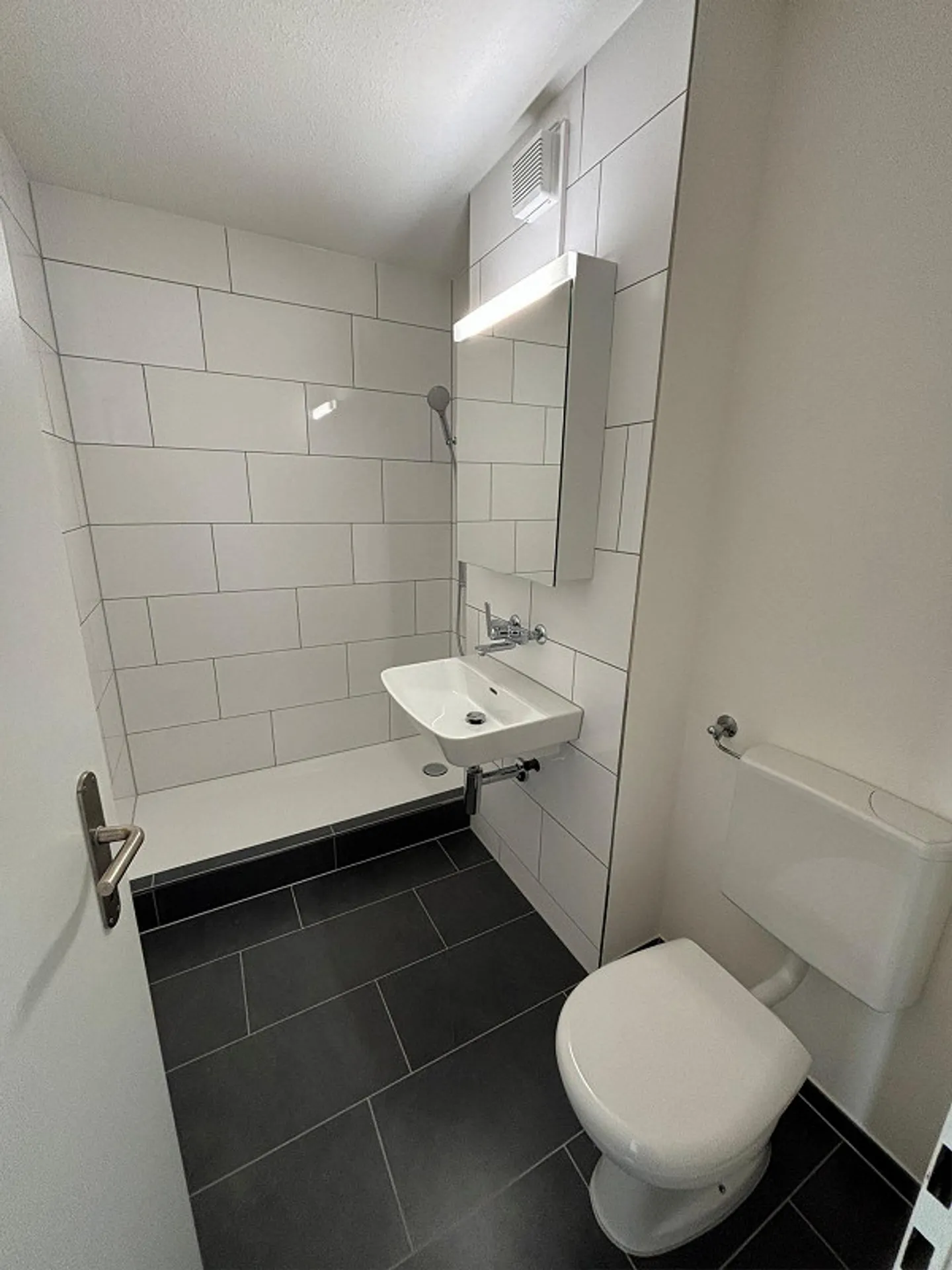 Vivere in tranquillità, vicino alla città - La tua nuova casa a Winterthur-Seen - Foto 6 di 8