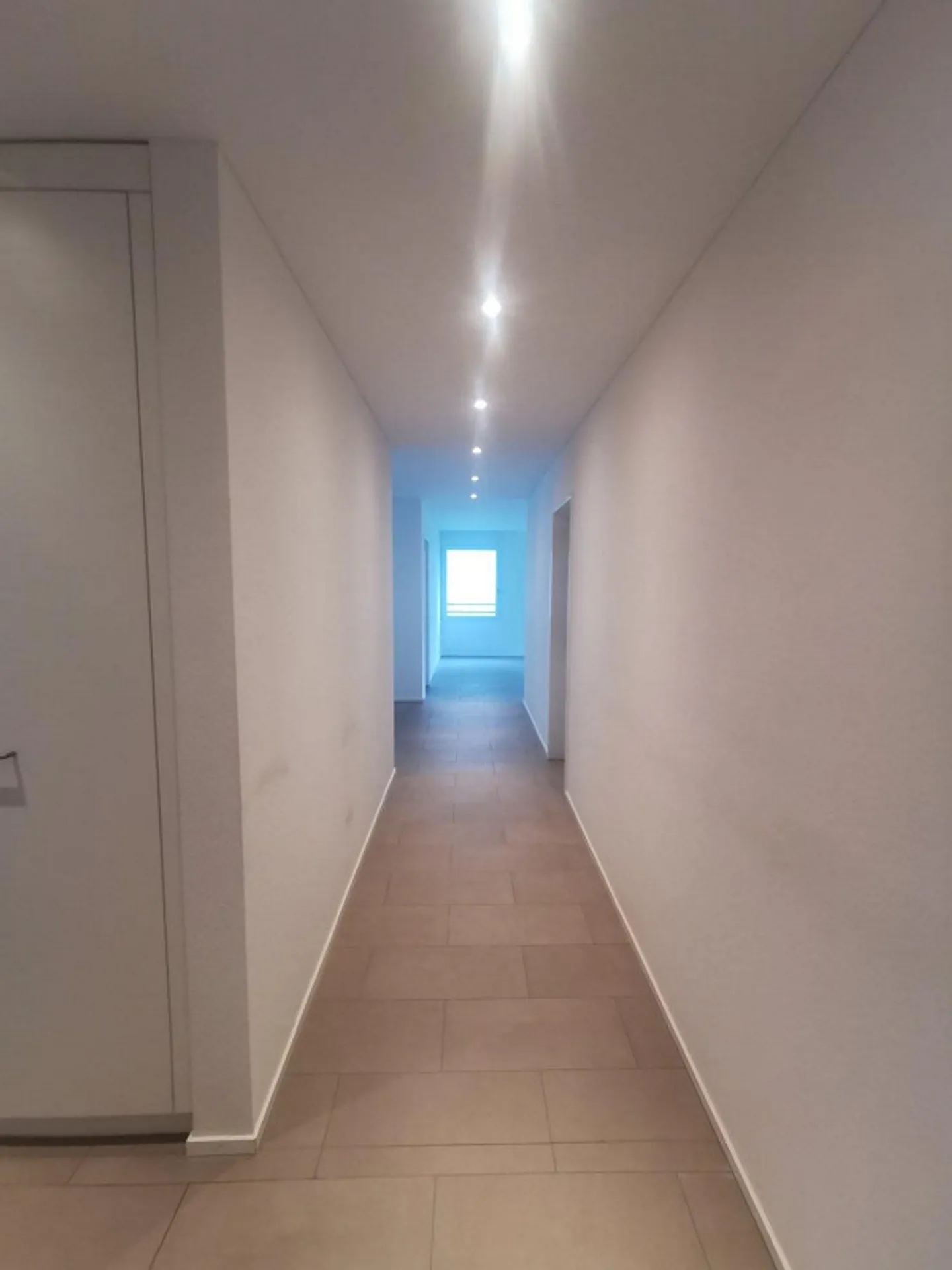 Charmante Wohnung in Liestal - Foto 9 von 10