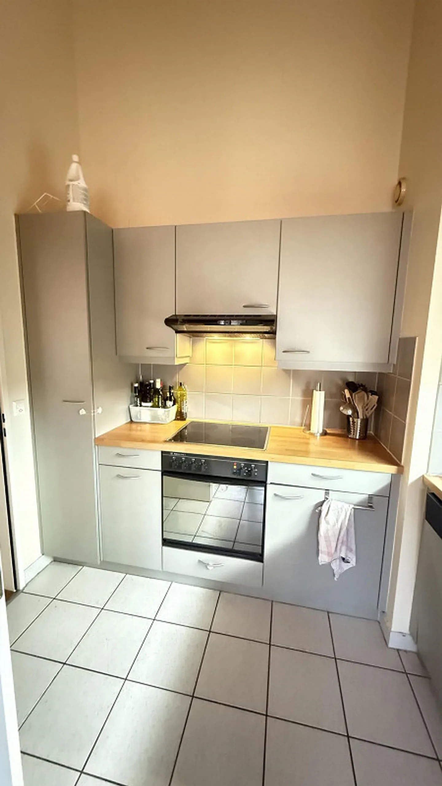 Wunderschöne Wohnung in einem Wohngebiet in Onex - Foto 1 von 7