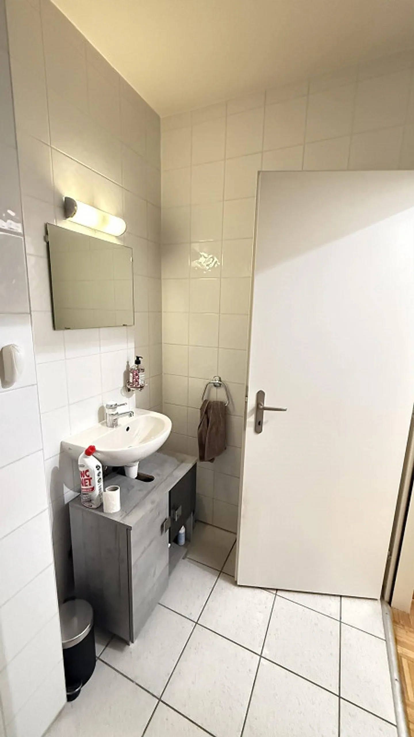 Wunderschöne Wohnung in einem Wohngebiet in Onex - Foto 5 von 7