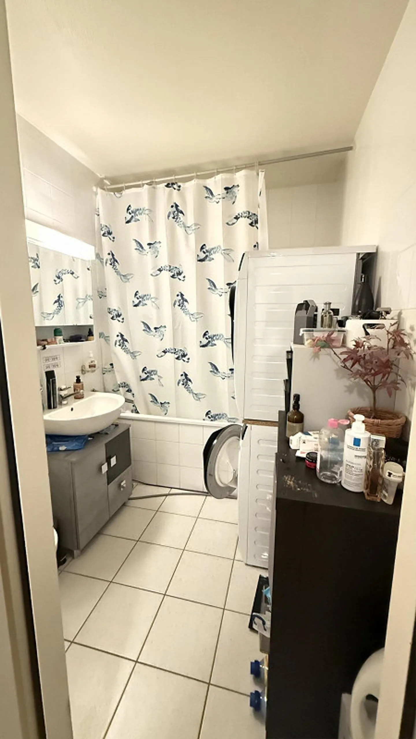 Wunderschöne Wohnung in einem Wohngebiet in Onex - Foto 7 von 7