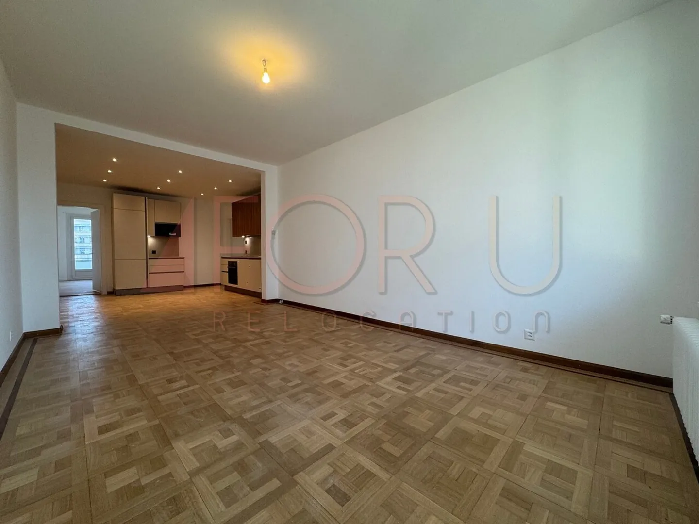 Magnificent renovated 5-room apartment with 2 balconies and close to the lake - Photo 2 of 13