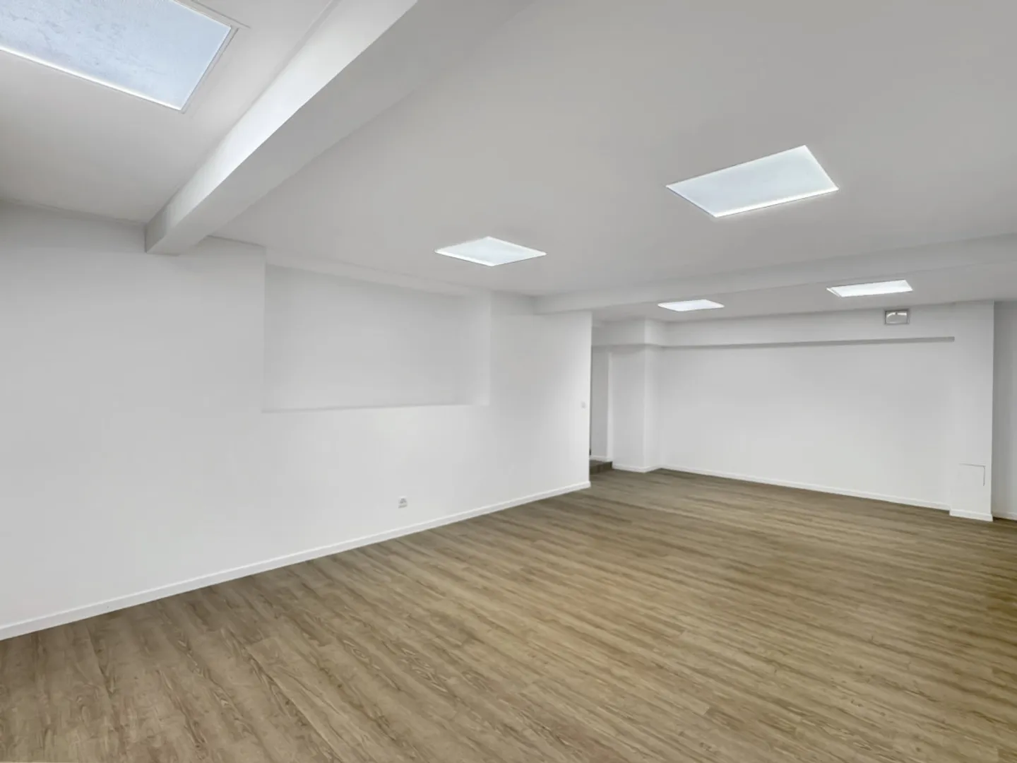 Opportunità di investimento: Proprietà commerciale esclusiva nel cuore di Losanna - Foto 11 di 13