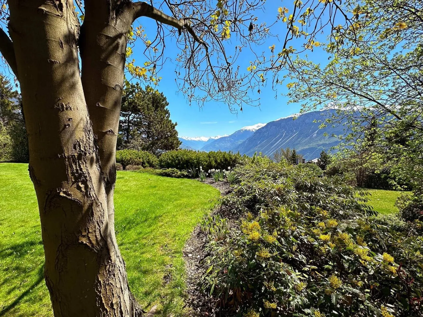 Calma assoluta per questa sublime proprietà immersa in un verde scenario - Foto 1 di 10