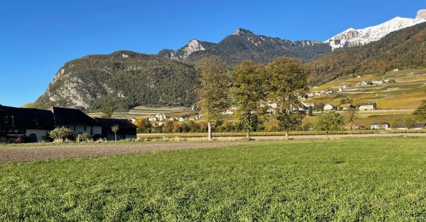 Wunderschöne Villa mit Bergblick - Foto 9 von 11