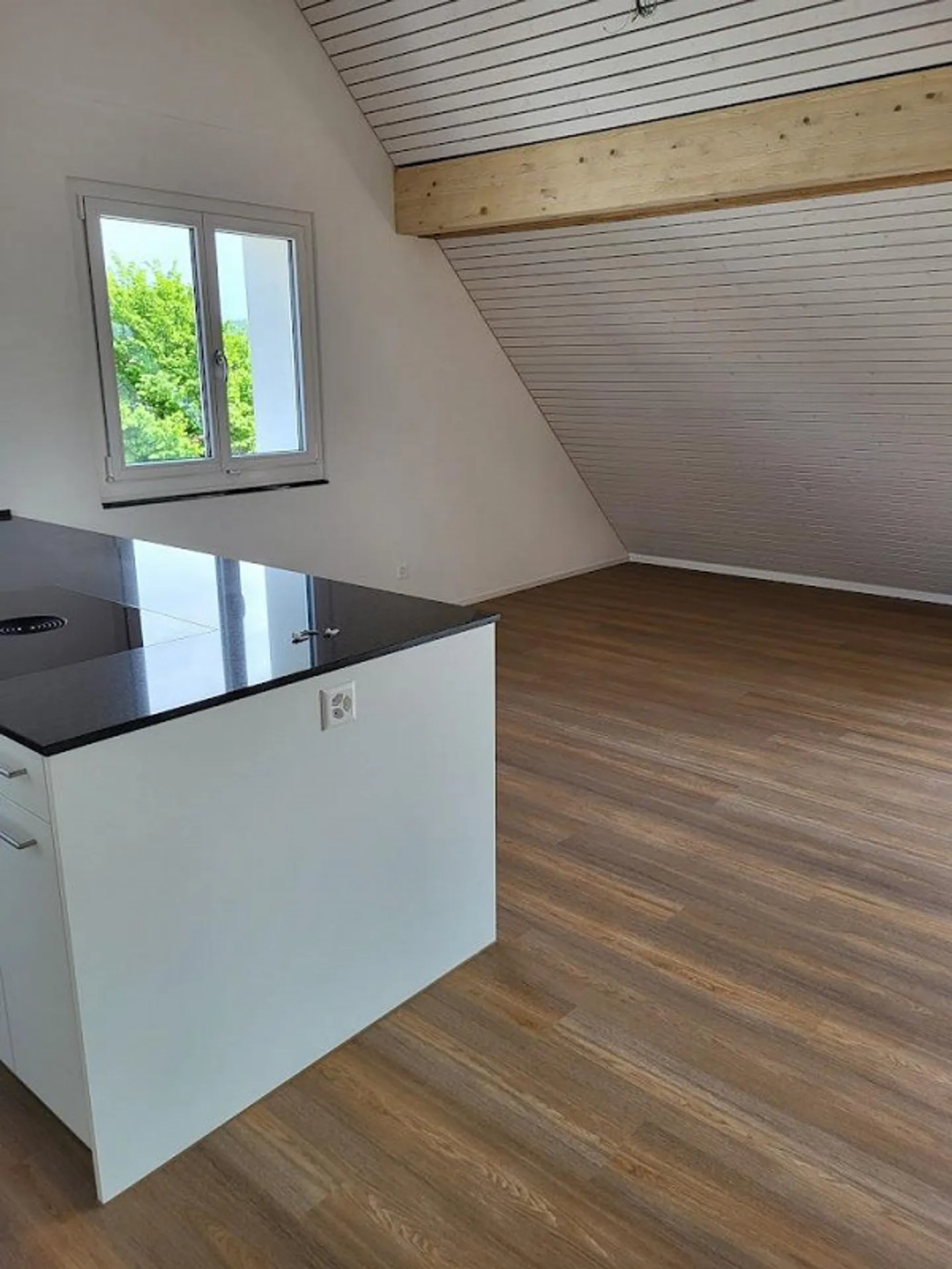 3 1/2-Room Attic Apartment - Photo 4 of 9