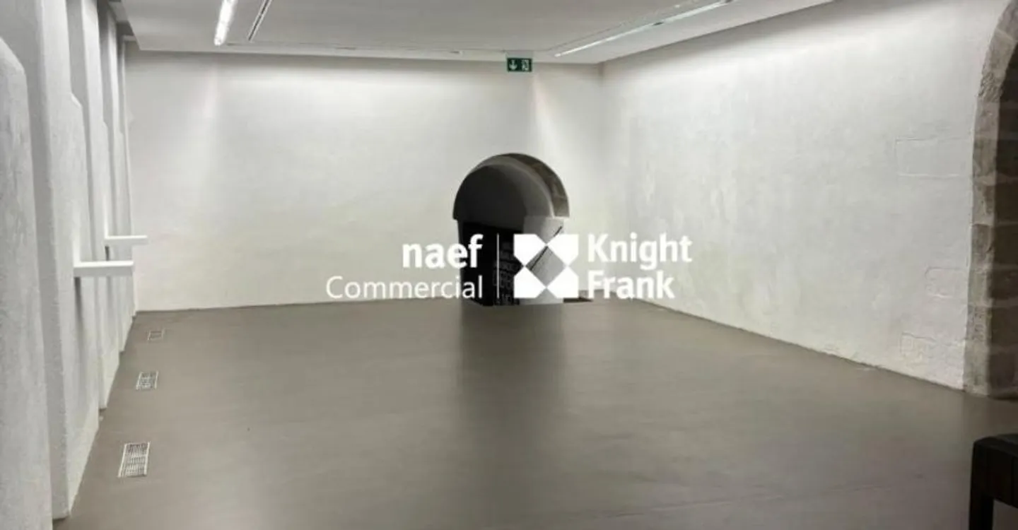 Galerie d'exception à Genève - Photo 12 sur 13