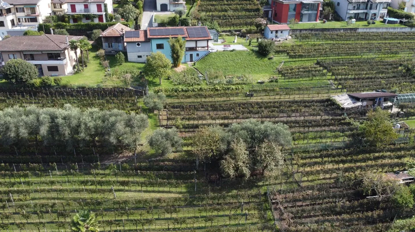 Terreno edificabile con vista spettacolare sul lago e sulle montagne - Foto 3 di 7