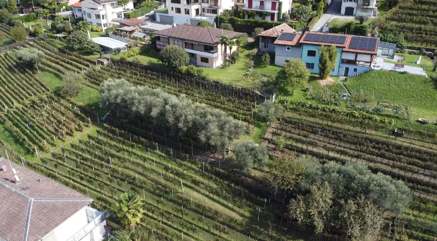 Terreno edificabile con vista spettacolare sul lago e sulle montagne - Foto 5 di 7