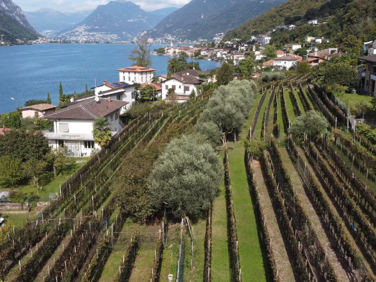 Terreno edificabile con vista spettacolare sul lago e sulle montagne - Foto 1 di 7