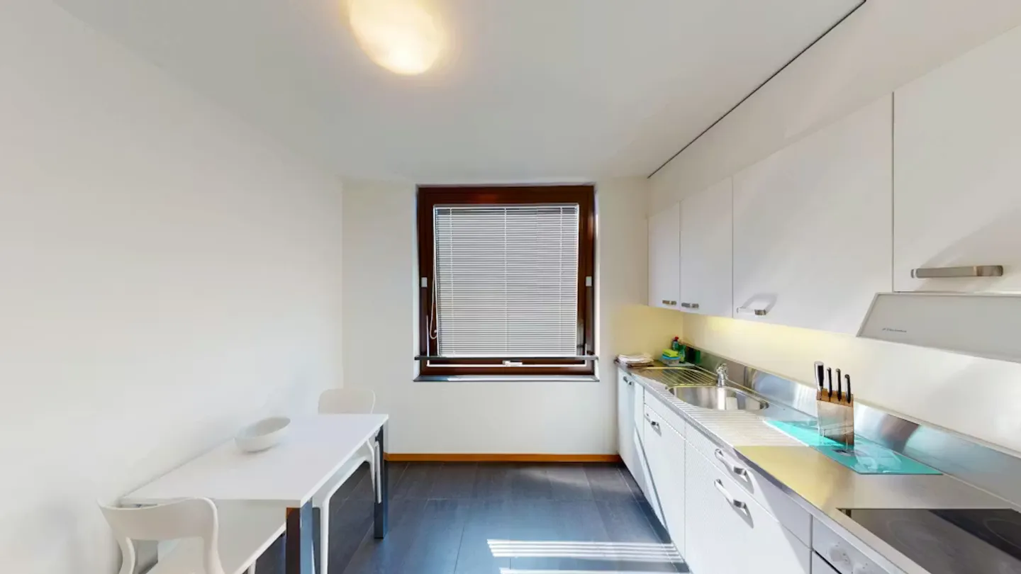 Charmante Wohnung in Basel - Foto 10 von 10