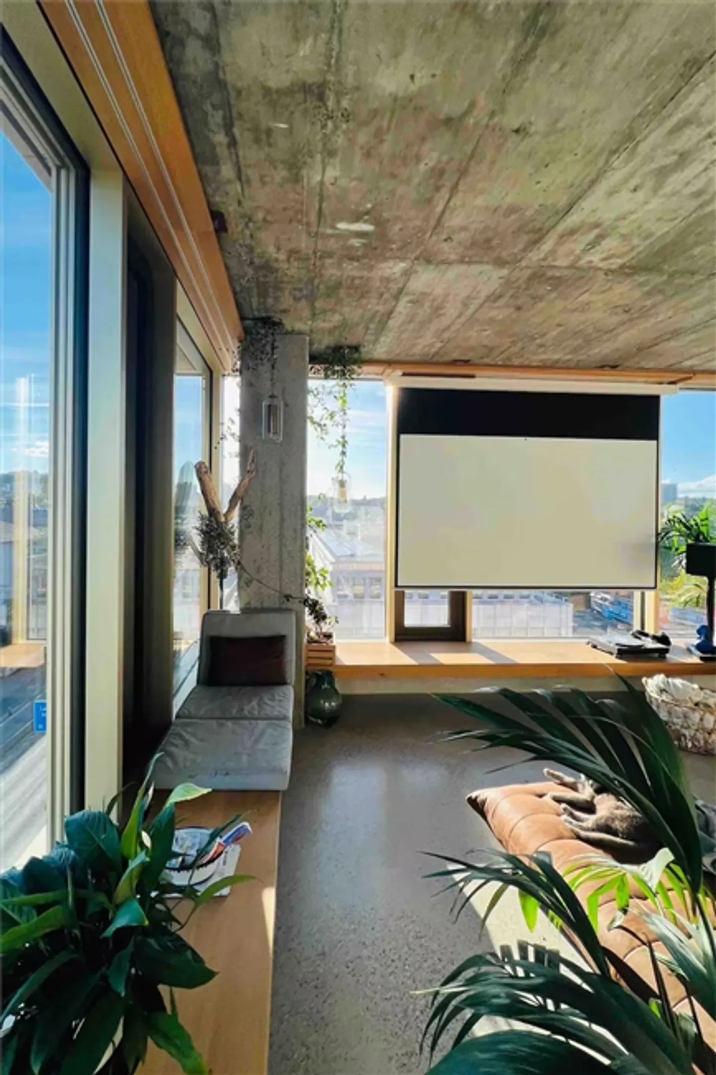 2 ROOM APARTMENT IN BERN, FURNISHED, TEMPORARY - Photo 3 of 8