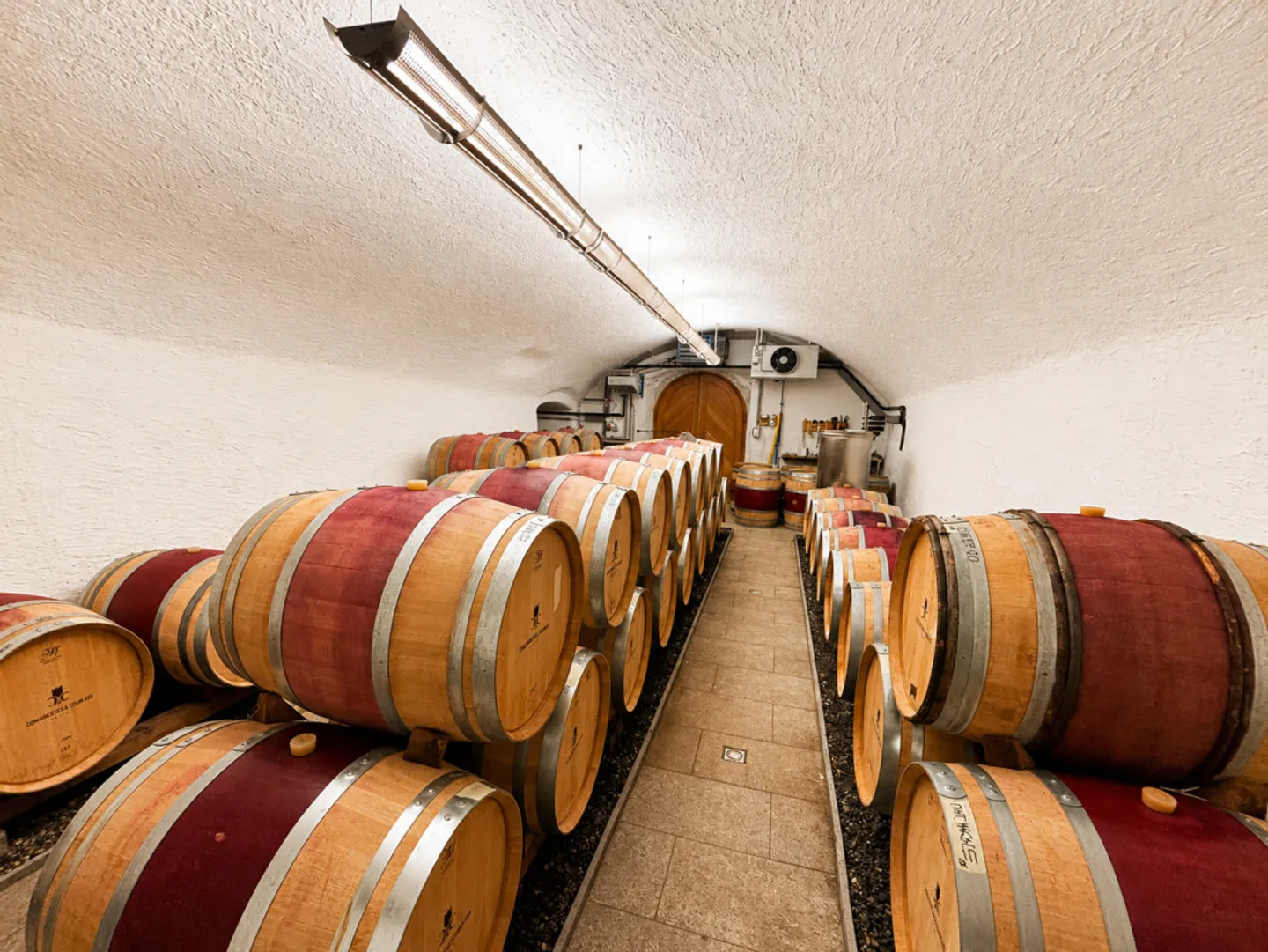 Espace Commercial Unique à Aigle - Photo 6 sur 13