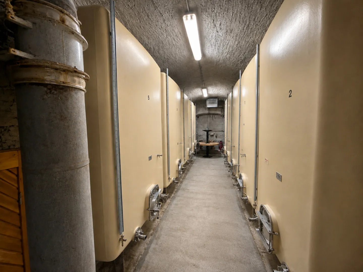 Espace Commercial Unique à Aigle - Photo 7 sur 13