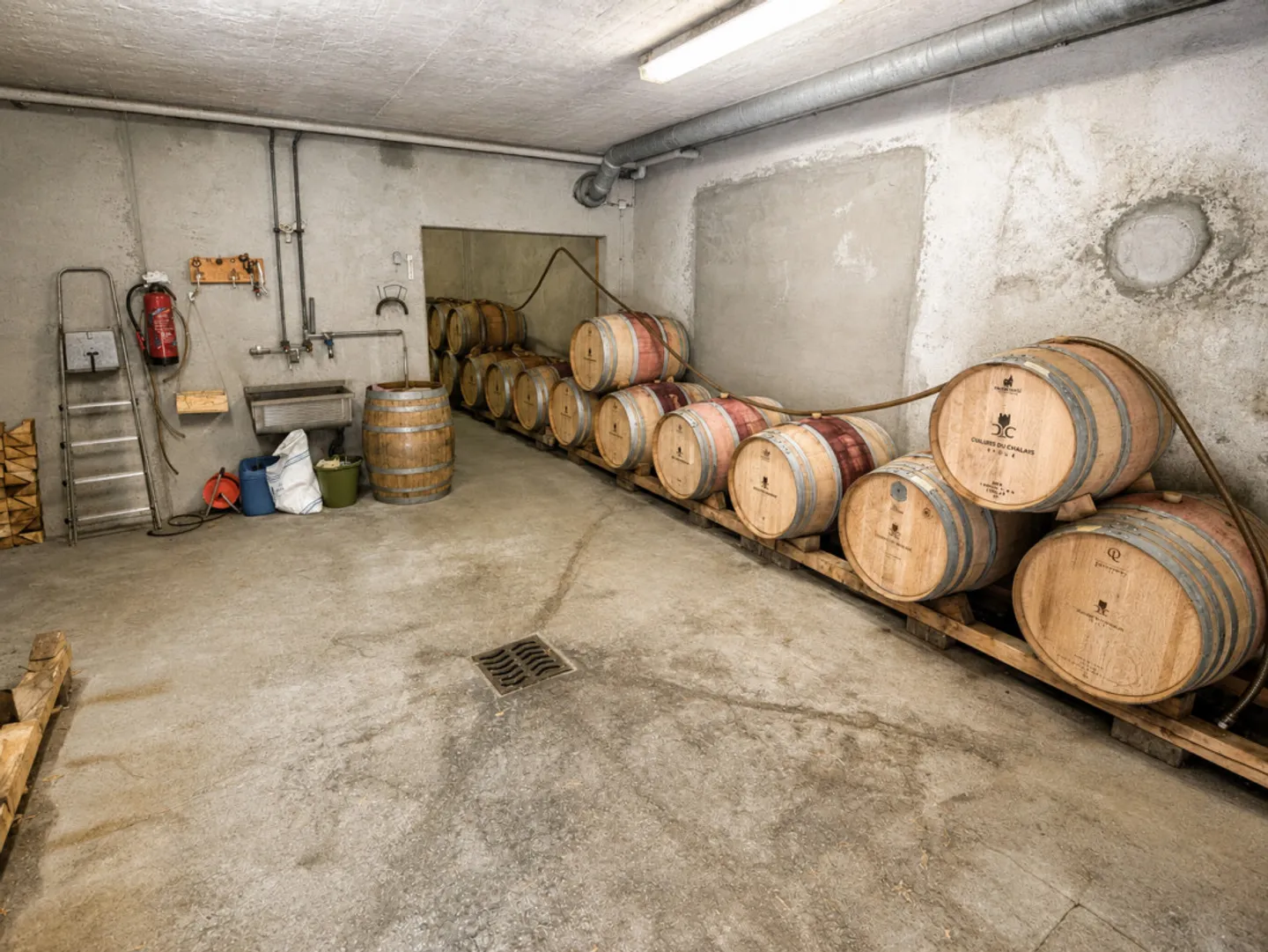 Espace Commercial Unique à Aigle - Photo 8 sur 13