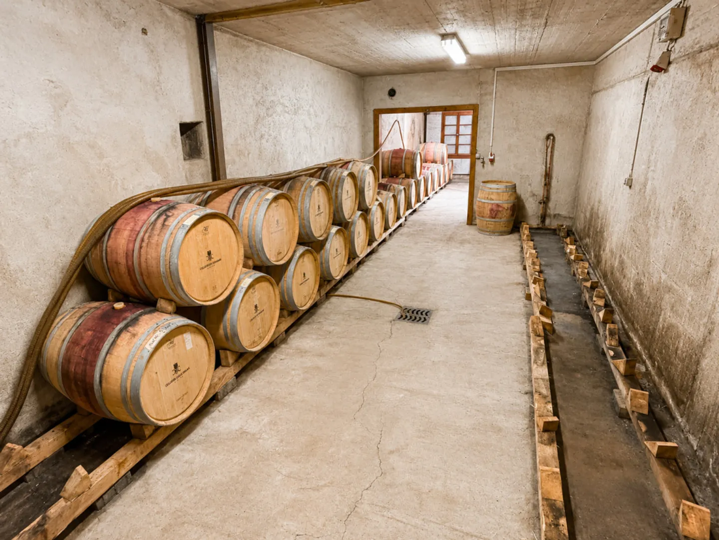 Espace Commercial Unique à Aigle - Photo 9 sur 13