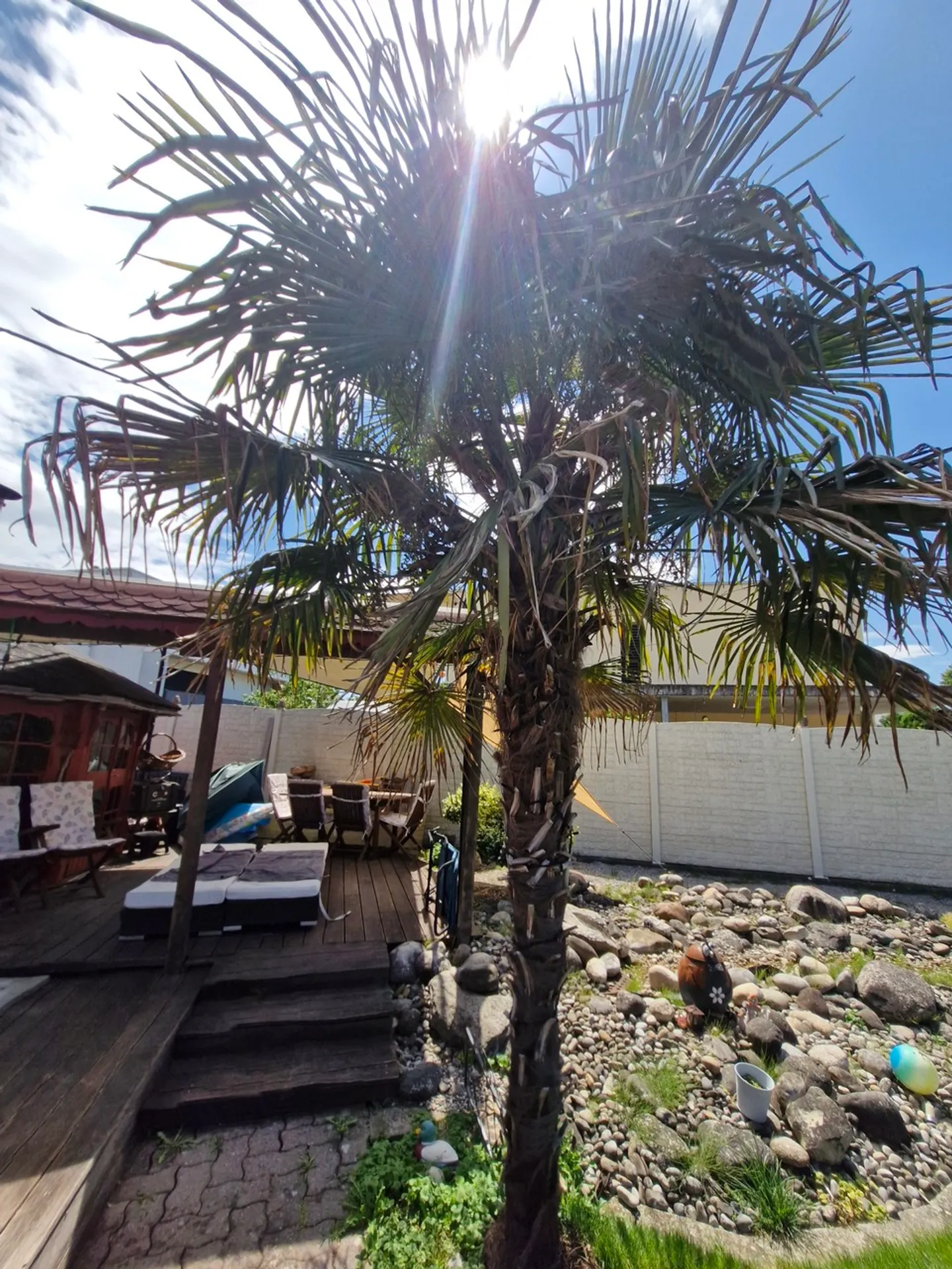 Holiday Home - More Summer is Not Possible - Photo 1 of 13
