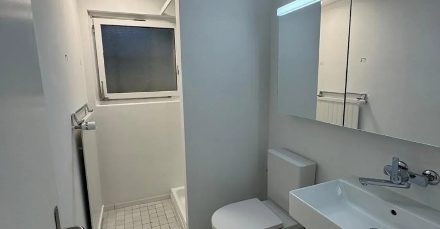 Freshly renovated 4.5-room single-family house with stunning lake view - Photo 8 of 11