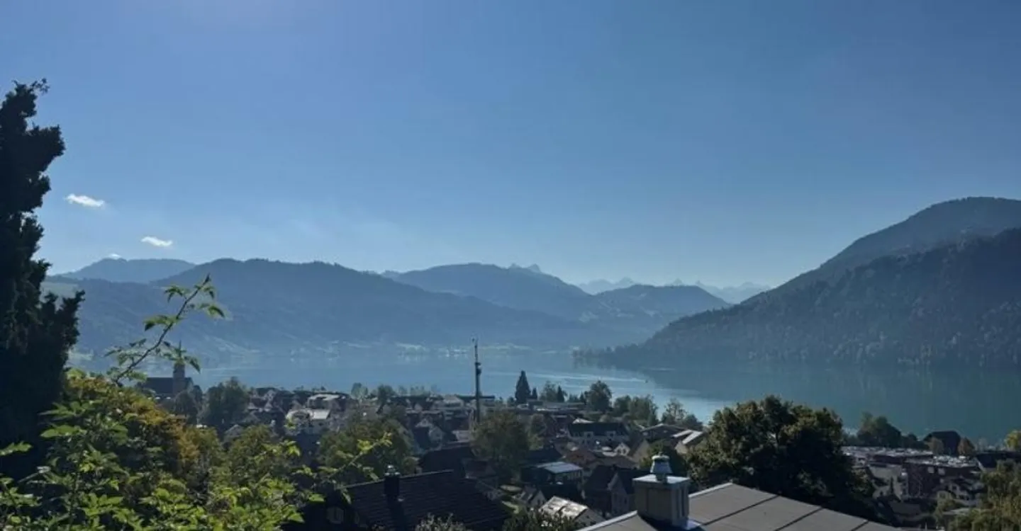 Freshly renovated 4.5-room single-family house with stunning lake view - Photo 11 of 11