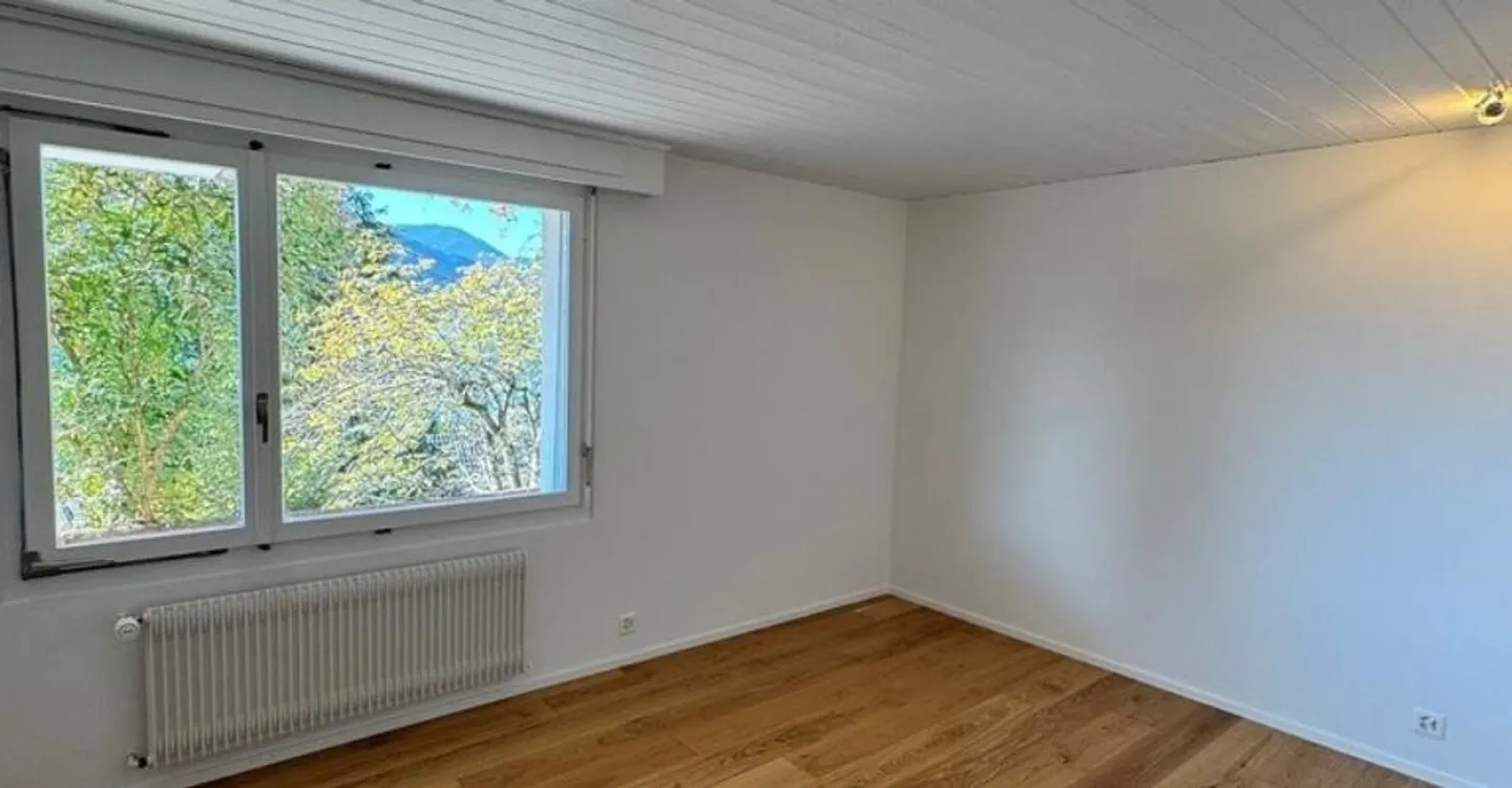 Freshly renovated 4.5-room single-family house with stunning lake view - Photo 5 of 11