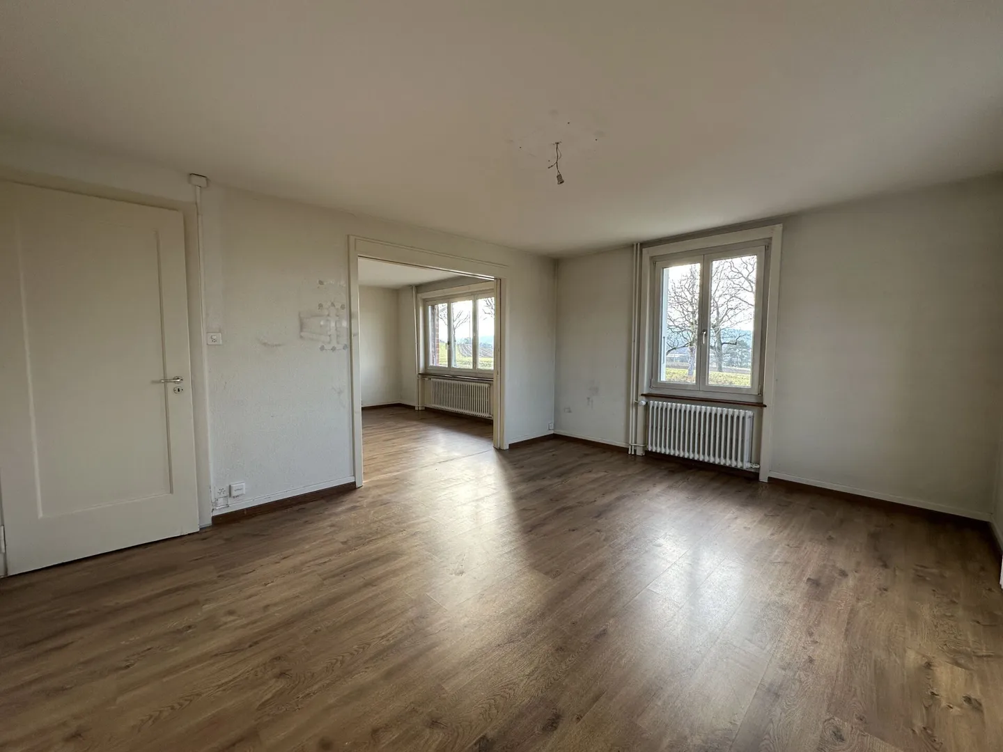 Individual Villa - 2 Apartments - Photo 7 of 21