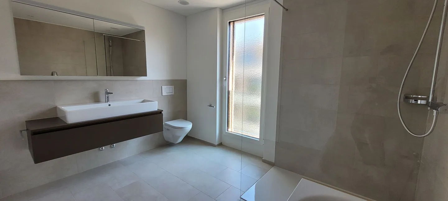 Large 3.5-room penthouse apartment in new building with lake view - Photo 7 of 10