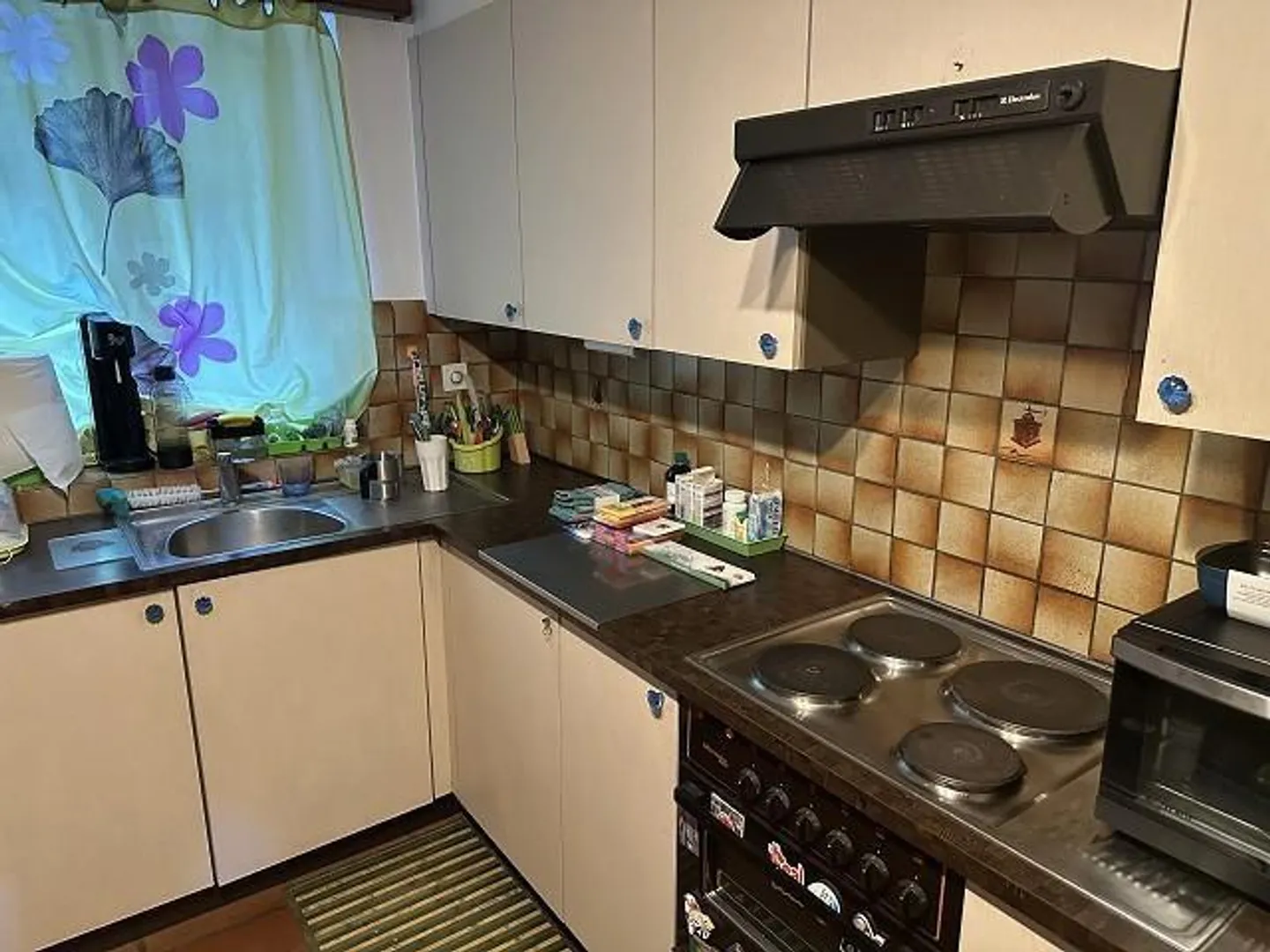 3 1/2 - Room Duplex Apartment Near the Lake - Photo 6 of 22