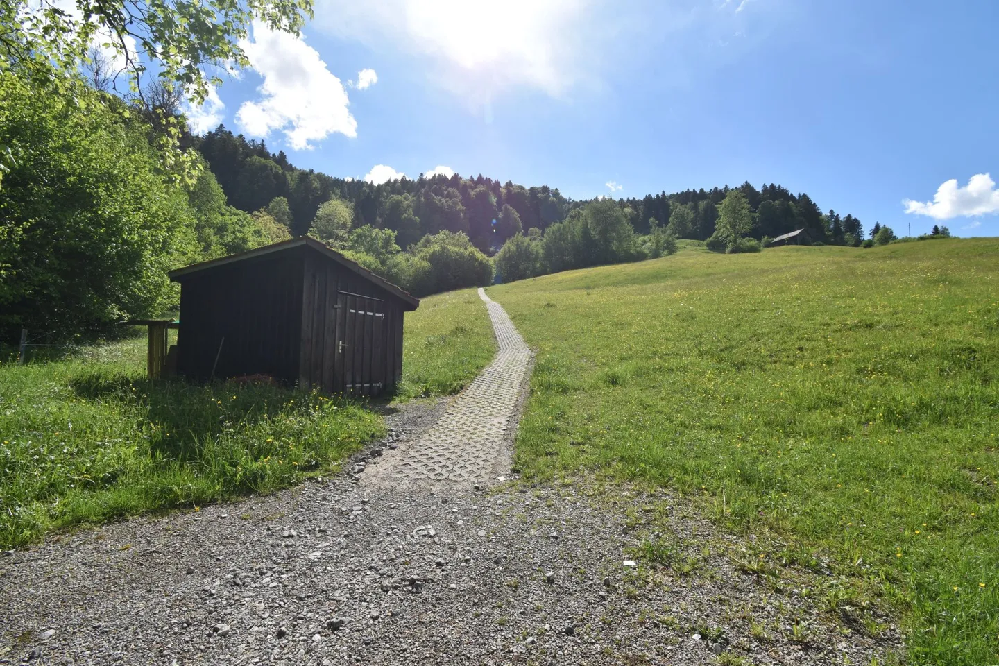 Idyllic Retreat - Toggenburg House with Potential - Photo 1 of 1