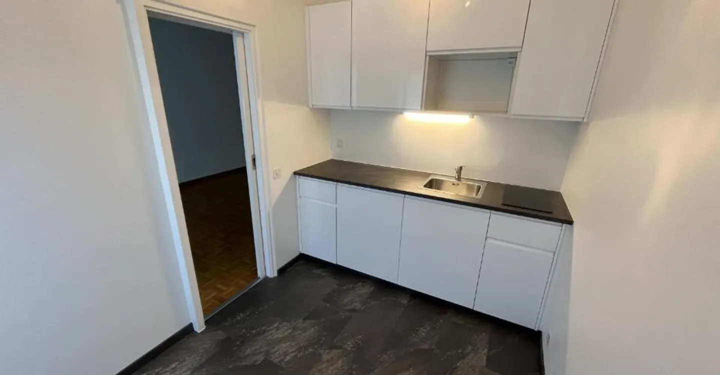 Luxury Apartment in Chêne-Bougeries - Photo 4 of 6