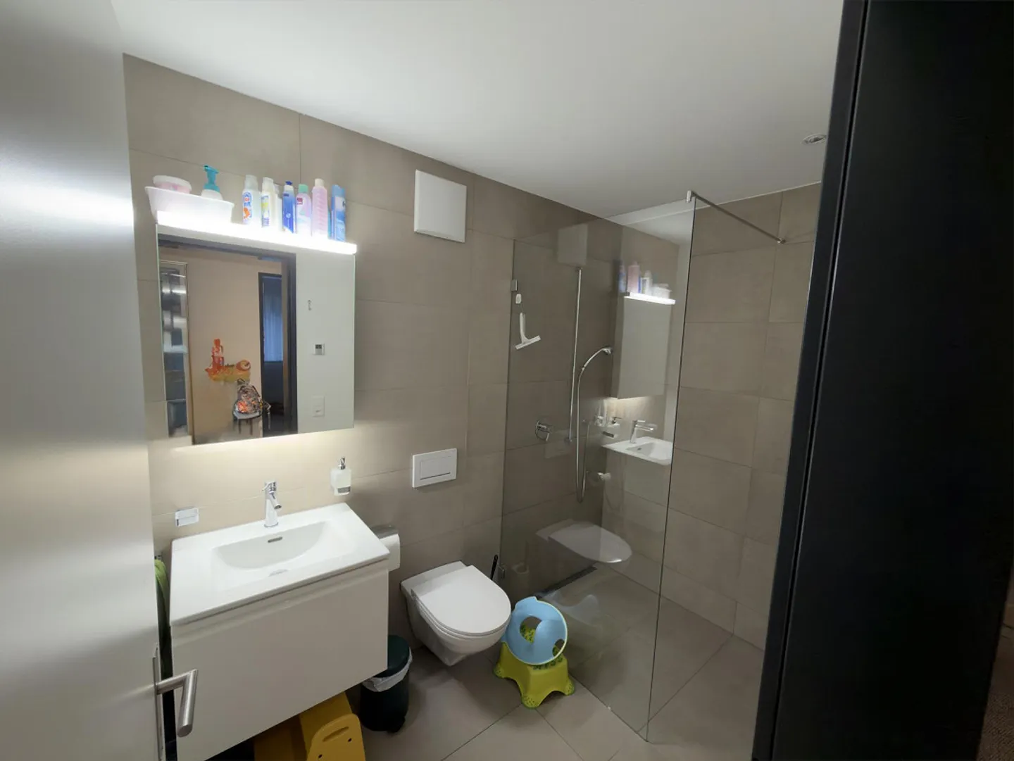 Appartamento al piano terra 4.5 - Foto 3 di 6