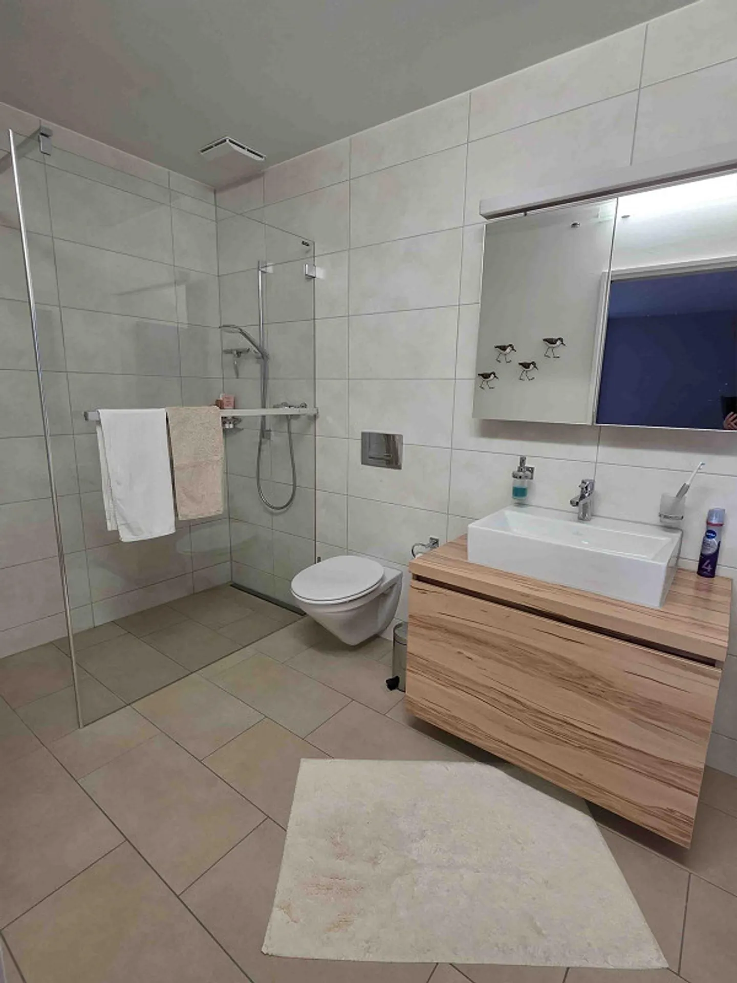 Luxuswohnung mit Alpenblick - Foto 7 von 9