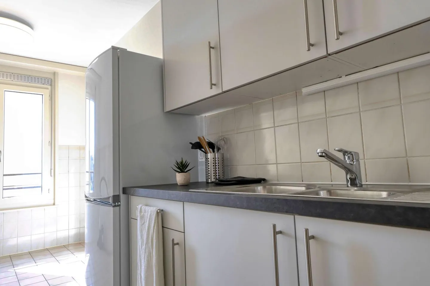 Coliving Comfort and Community in the Heart of Geneva - Photo 4 of 12