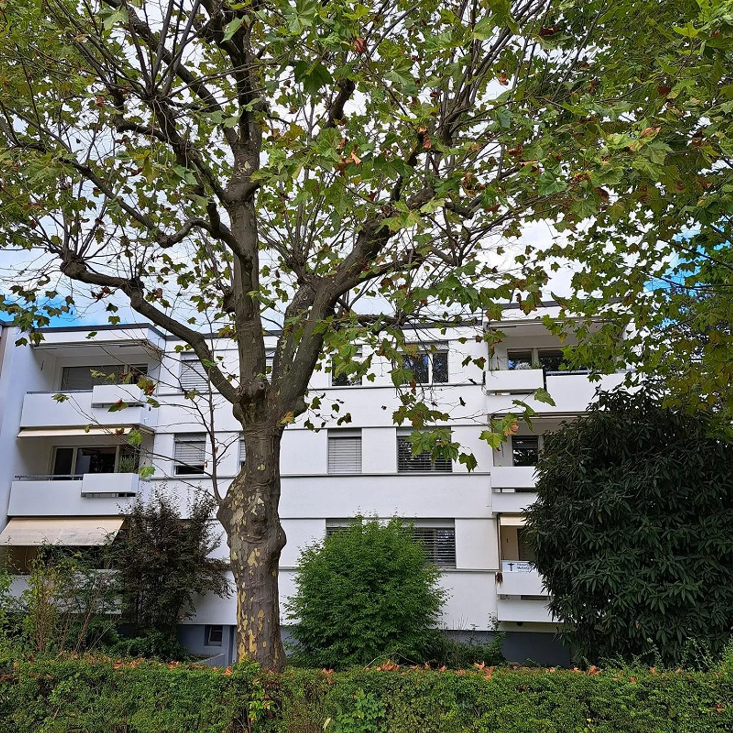 Modern 4-room apartment near the village center - Photo 2 of 9