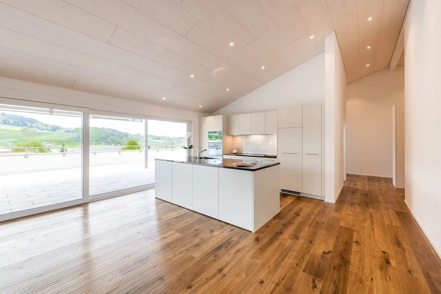 Attic Highlight with 100 m² Sun Terrace - Photo 1 of 10