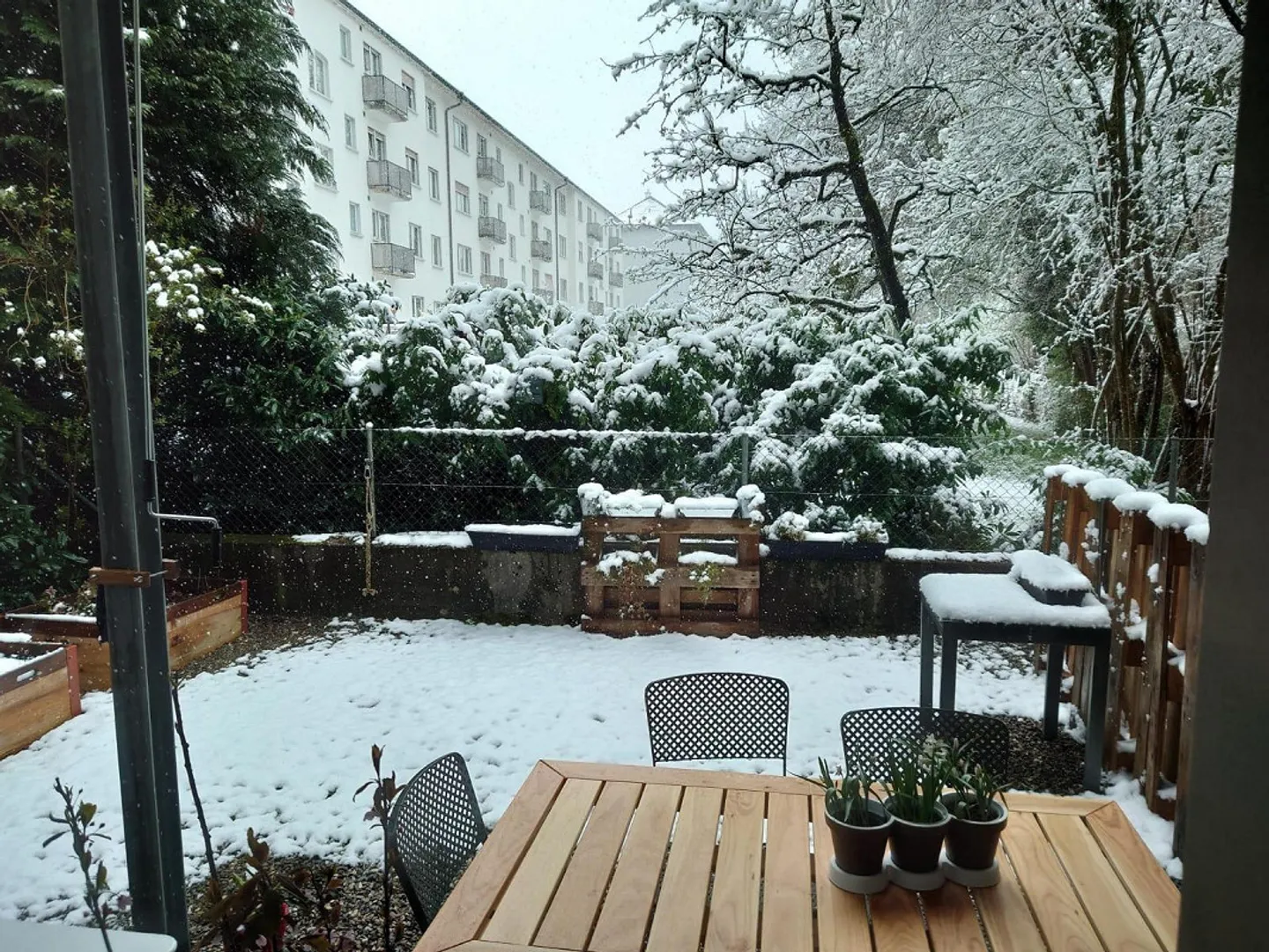 Appartement 2.5 pièces avec patio à Berne - Photo 10 sur 10