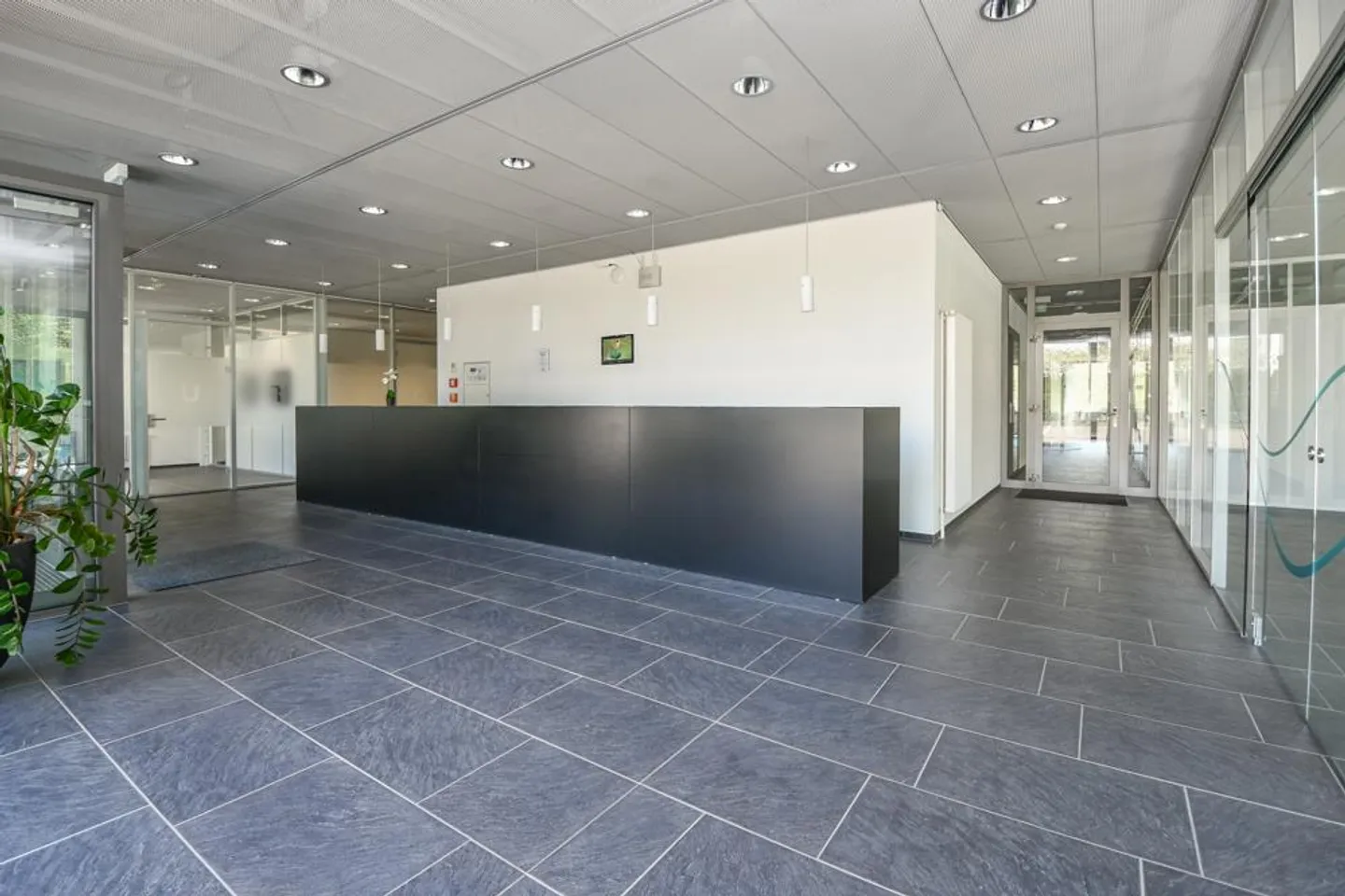 Office, Warehouse, Production, Living - everything under one roof - Photo 4 of 10