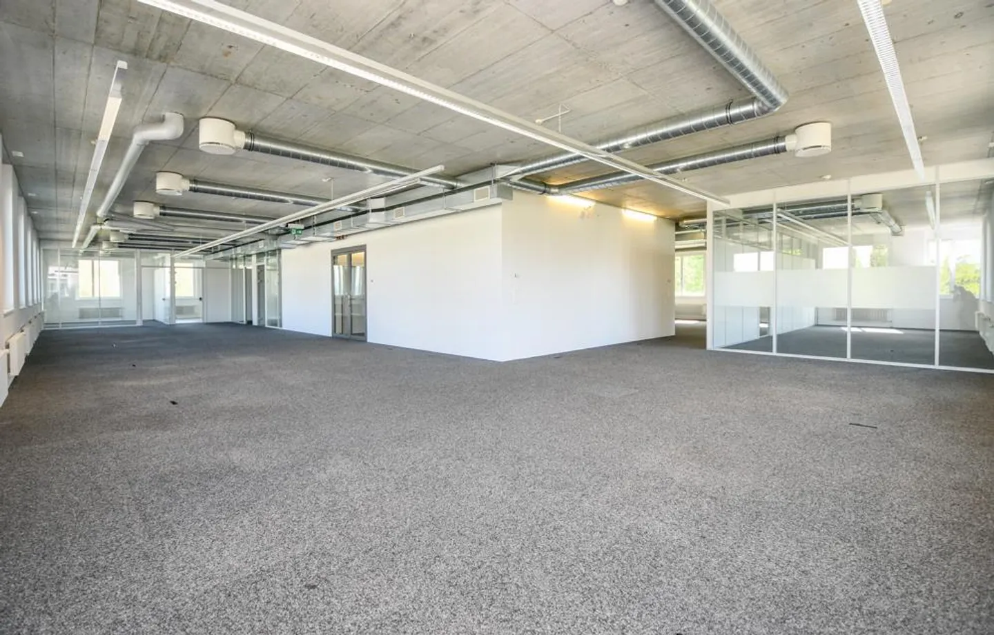 Office, Warehouse, Production, Living - everything under one roof - Photo 7 of 10