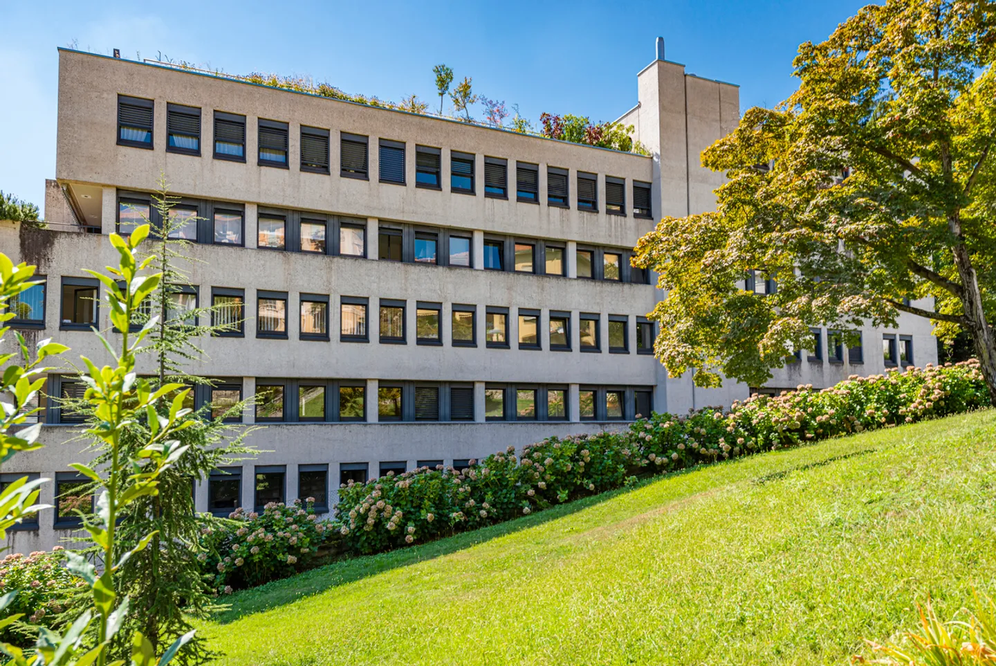 BUREAU LUMINEUX AU CENTRE DE LUGANO - Photo 1 sur 7