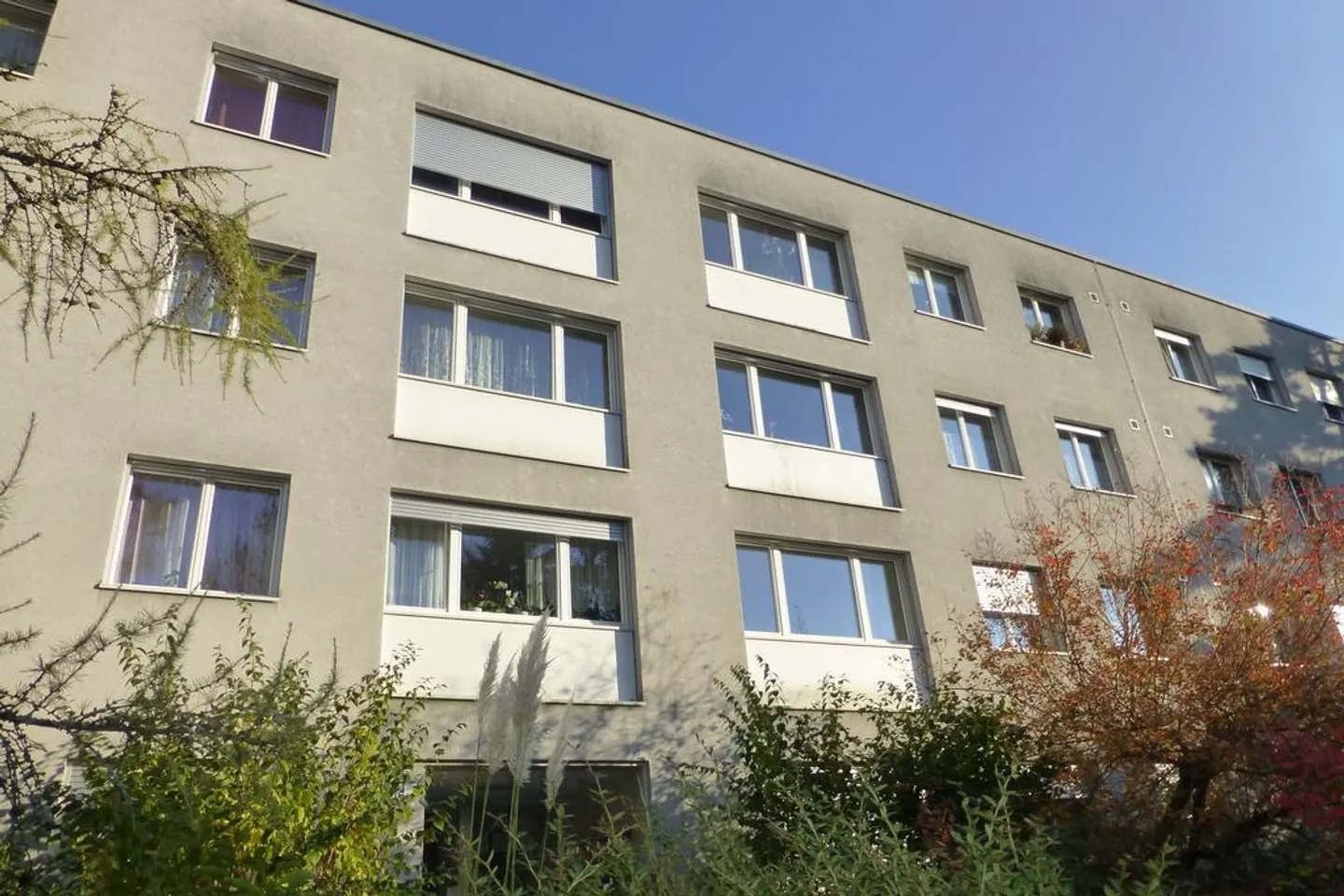 Charmantes Studio in Reinach - Foto 1 von 5