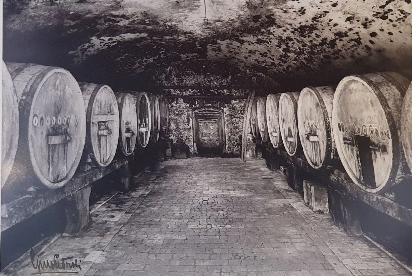 Grotto Bundi vicino alle cantine di Mendrisio - Foto 8 di 31