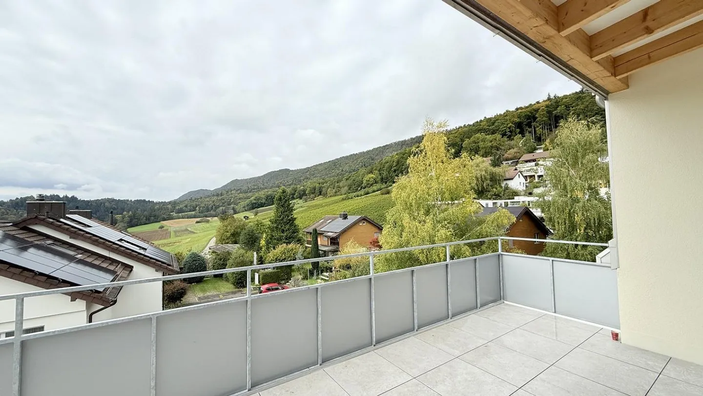 First Rental: Large Balcony with Afternoon and Evening Sun - Photo 6 of 13