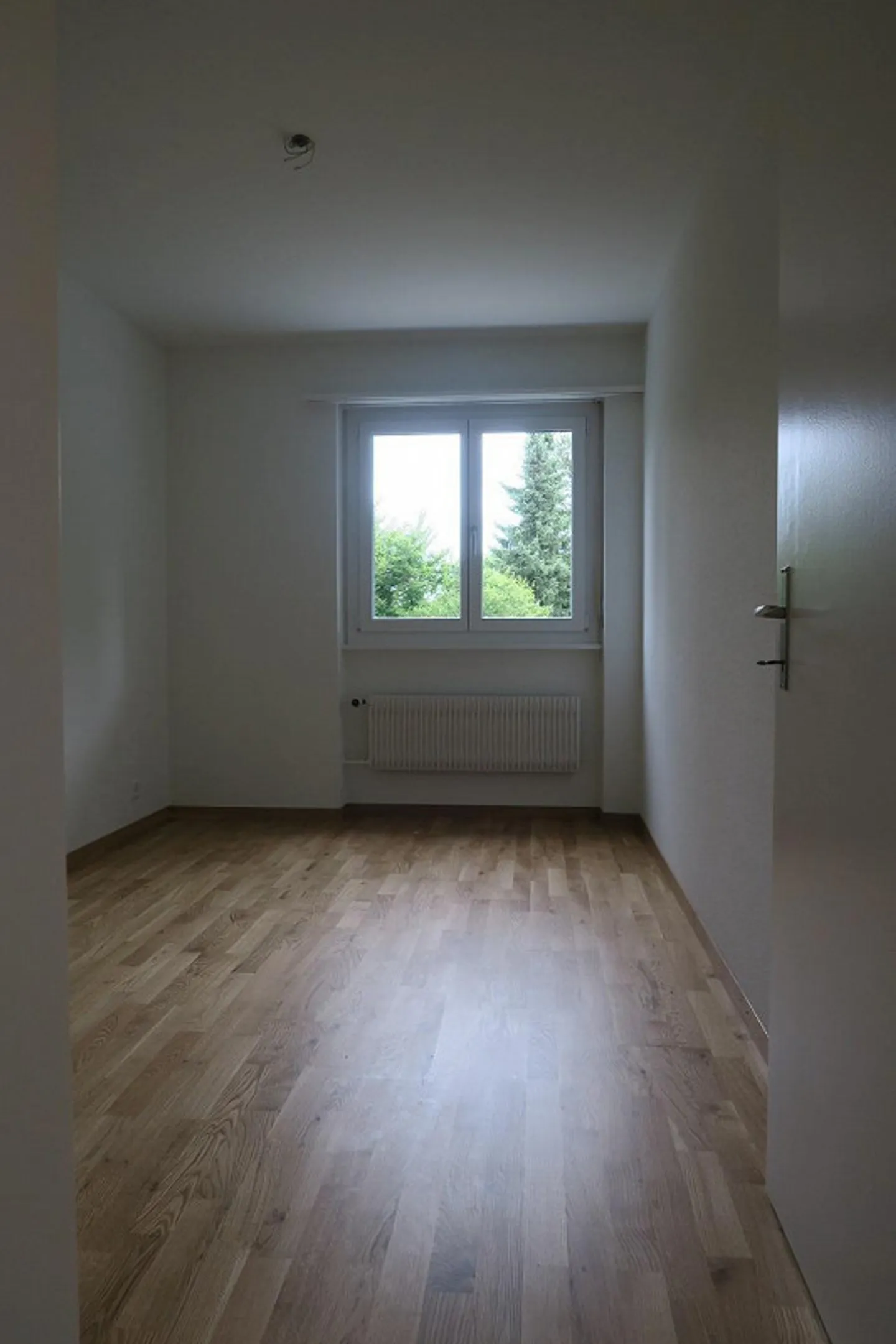 Beautiful 3-room apartment for rent! - Photo 6 of 7