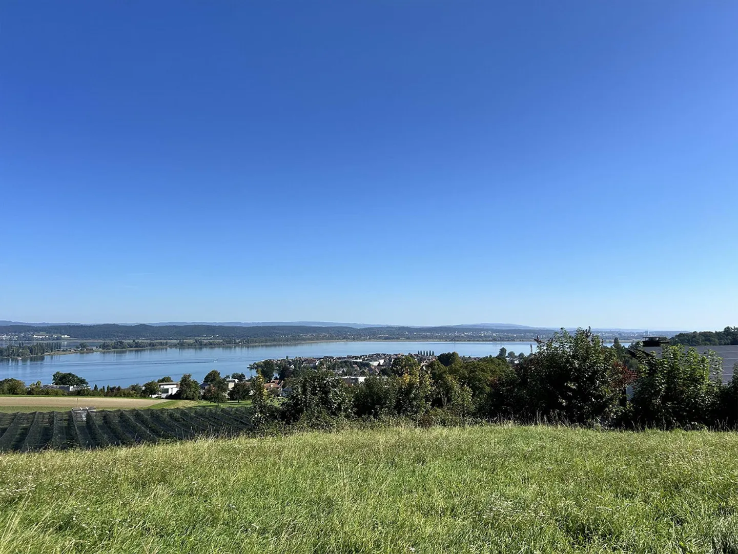 1.5-Room Apartment with Dream View of the Lake in Fruthwilen - Photo 1 of 11