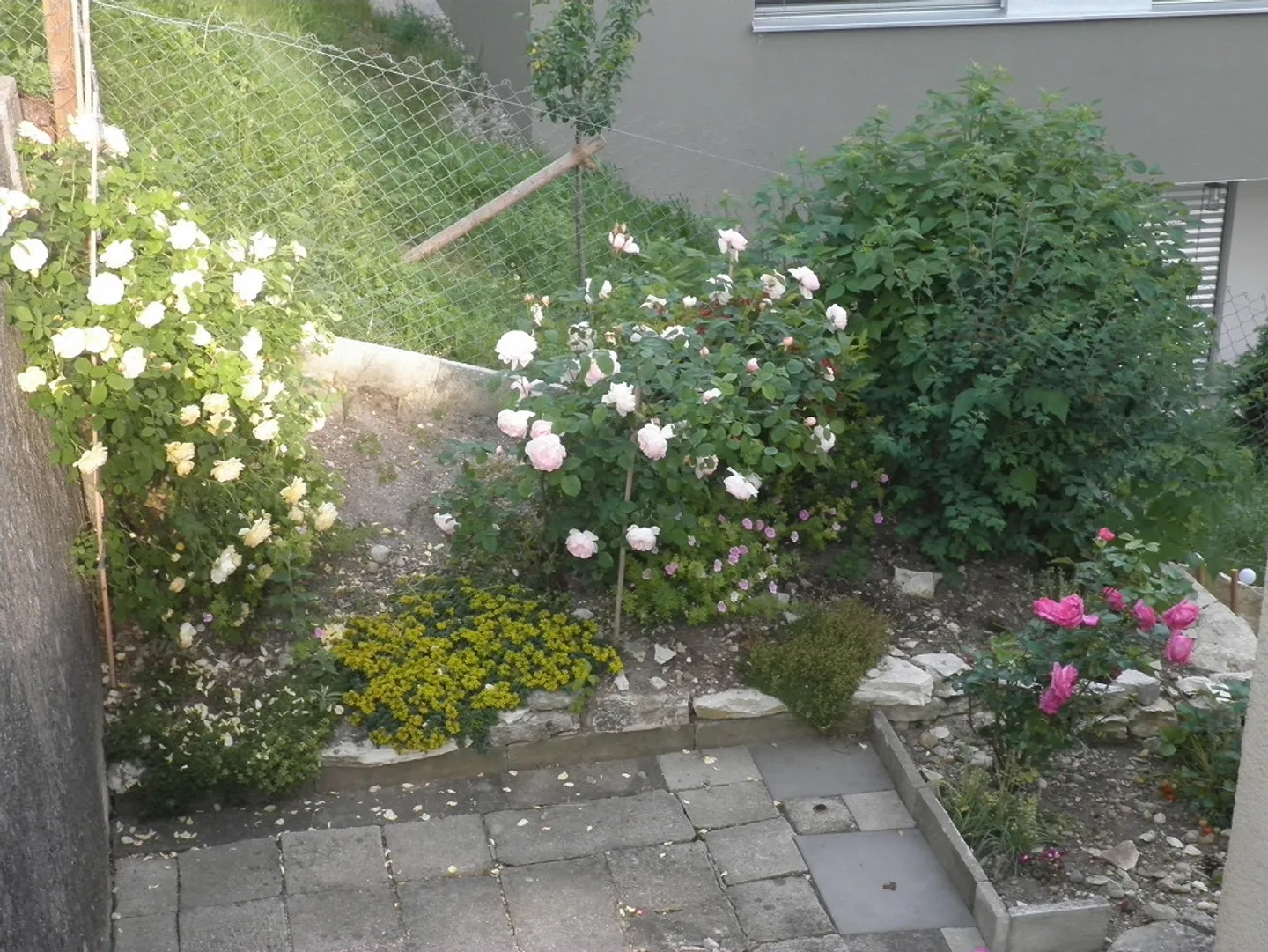 Appartamento 4 stanze piano terra/piano superiore in una casa bifamiliare ai margini della città vecchia - Foto 10 di 10