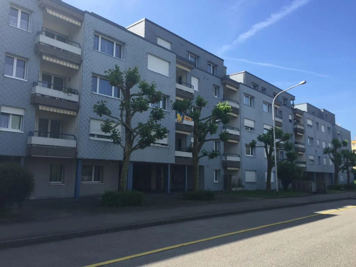 Cercare. Trovare. Vivere! - Foto 1 di 7