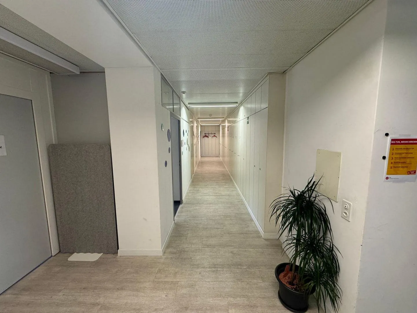 Spazio commerciale versatile a Thun - Foto 4 di 26
