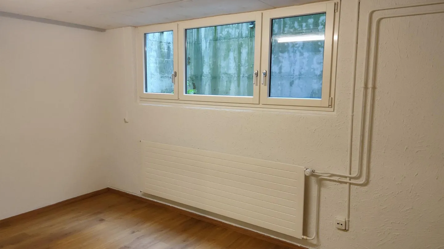 Stanza hobby (19 m²) con collegamento all'acqua e insonorizzazione a Uetikon a See - Foto 1 di 5