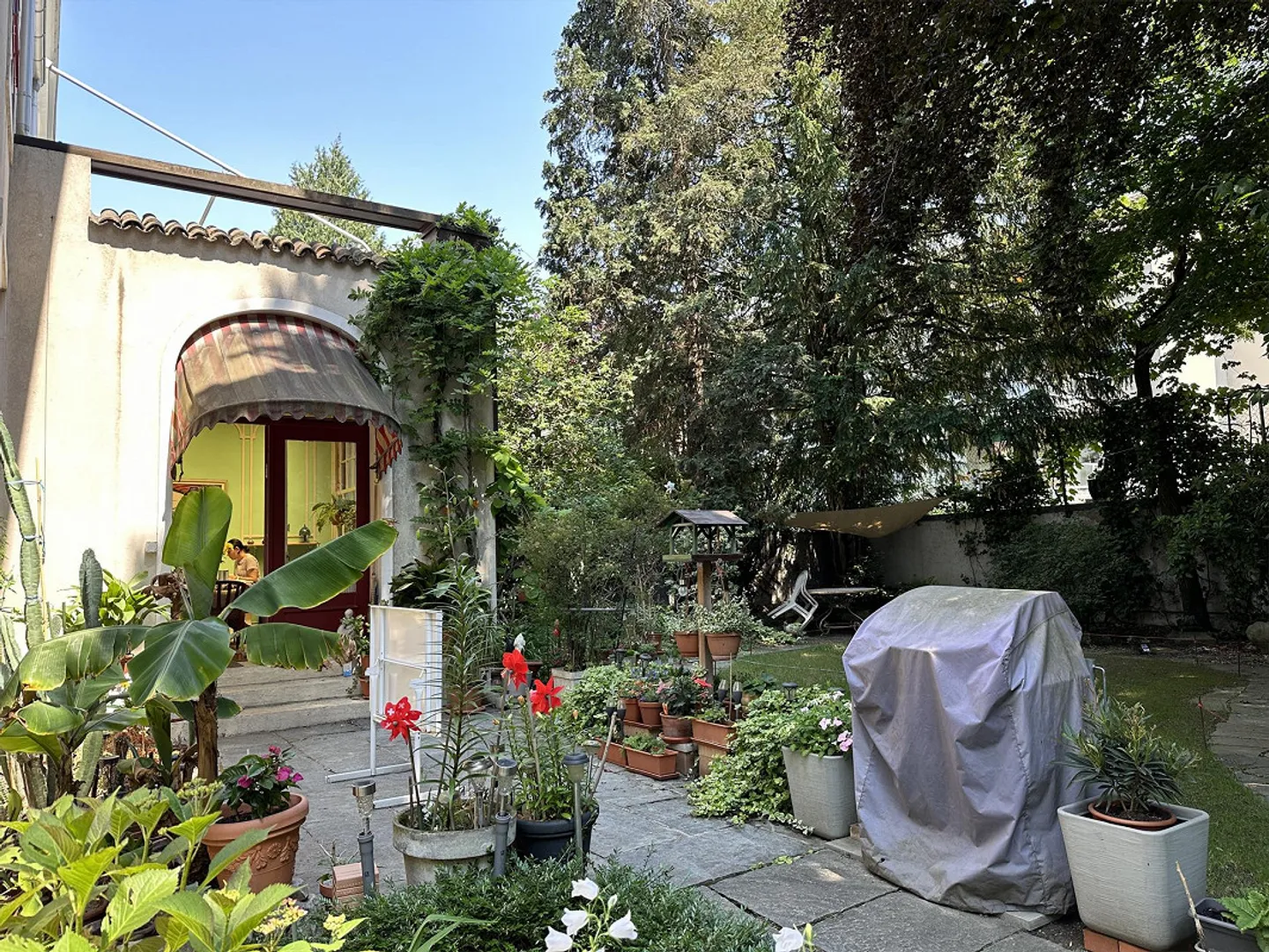 Gellert: Exklusives 396 qm Art-Nouveau-Villa mit schönem Garten - Foto 12 von 14